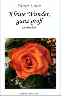 Cover Kleine Wunder, ganz groß